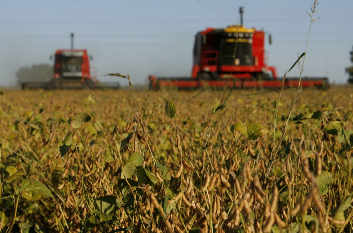 Con la confianza mellada, los productores del agro ven una luz en el túnel más adelante