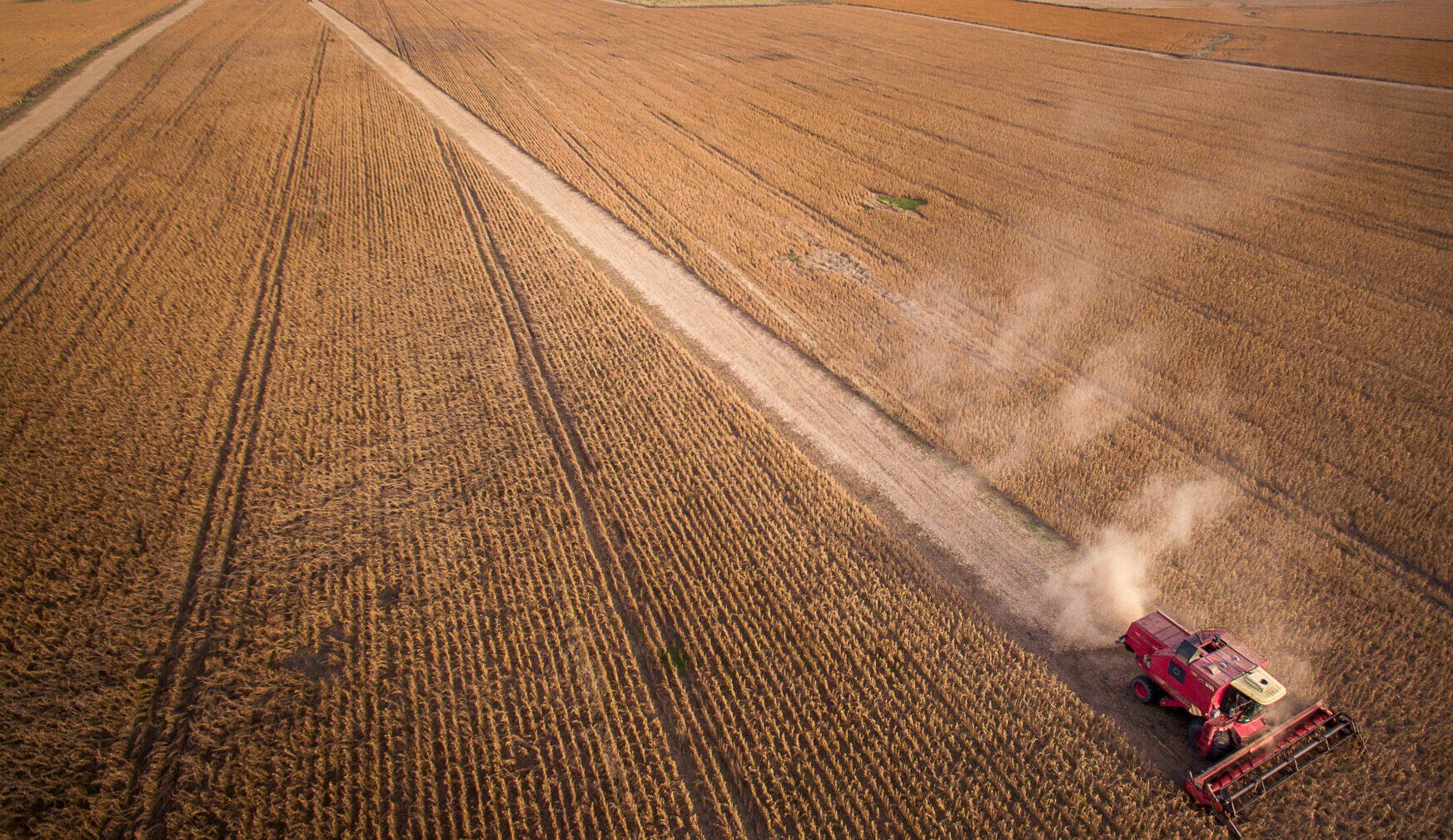 Mejora la confianza del agro, pero 66% considera que no es momento para invertir