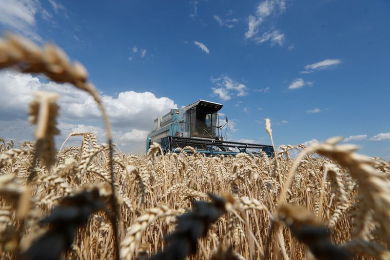 El 67% de las exportaciones argentinas son del agro