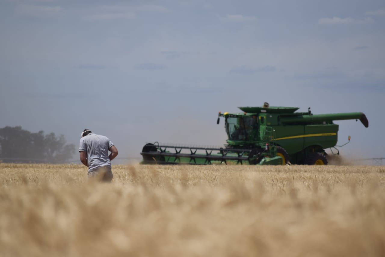 Del Libro Blanco de la UIC a las propuestas de la agroindustria