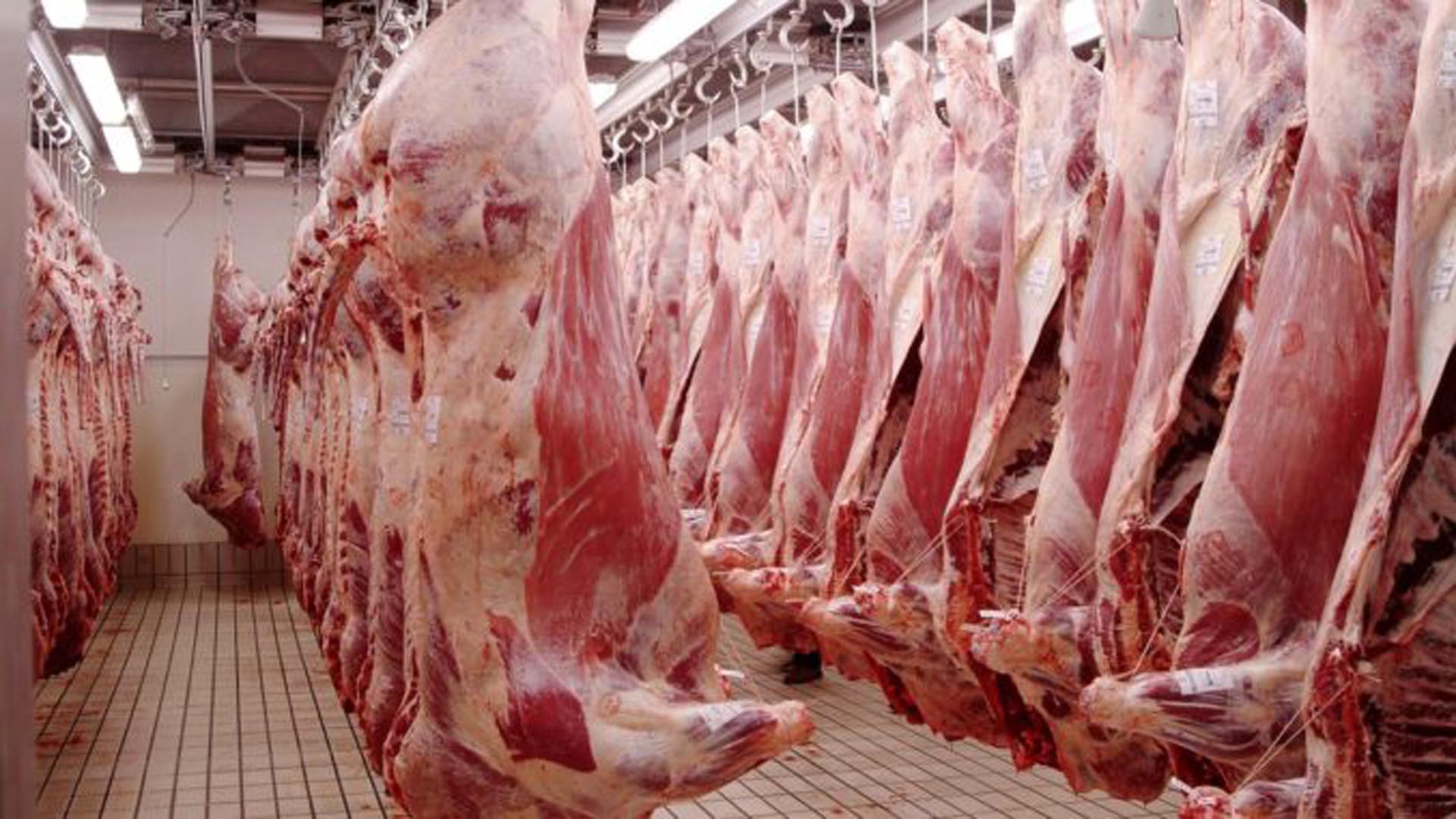Entre enero y mayo, la exportación de carne superó los 1.000 millones de dólares