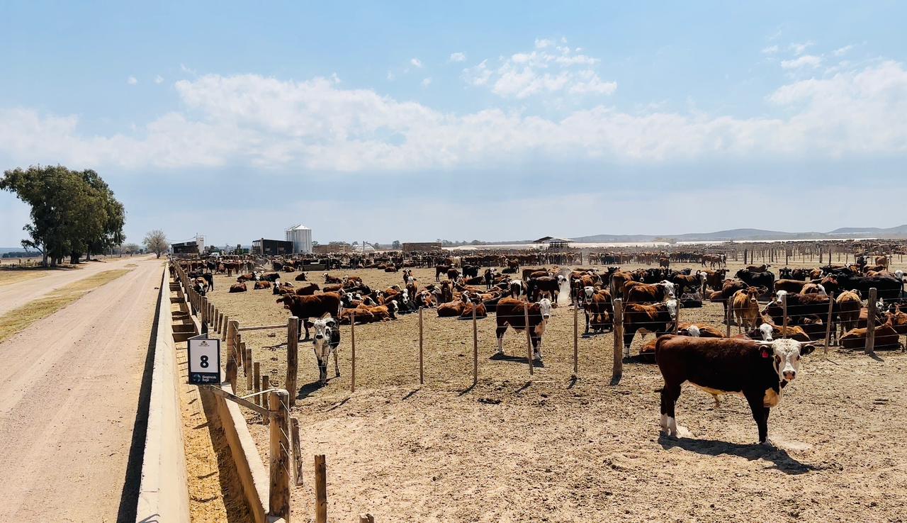 Las Chilcas, industria verde del campo que emplea a más de 150 colaboradores