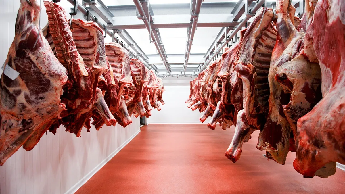 Exportaciones de carne: 735 millones de dólares en el primer trimestre