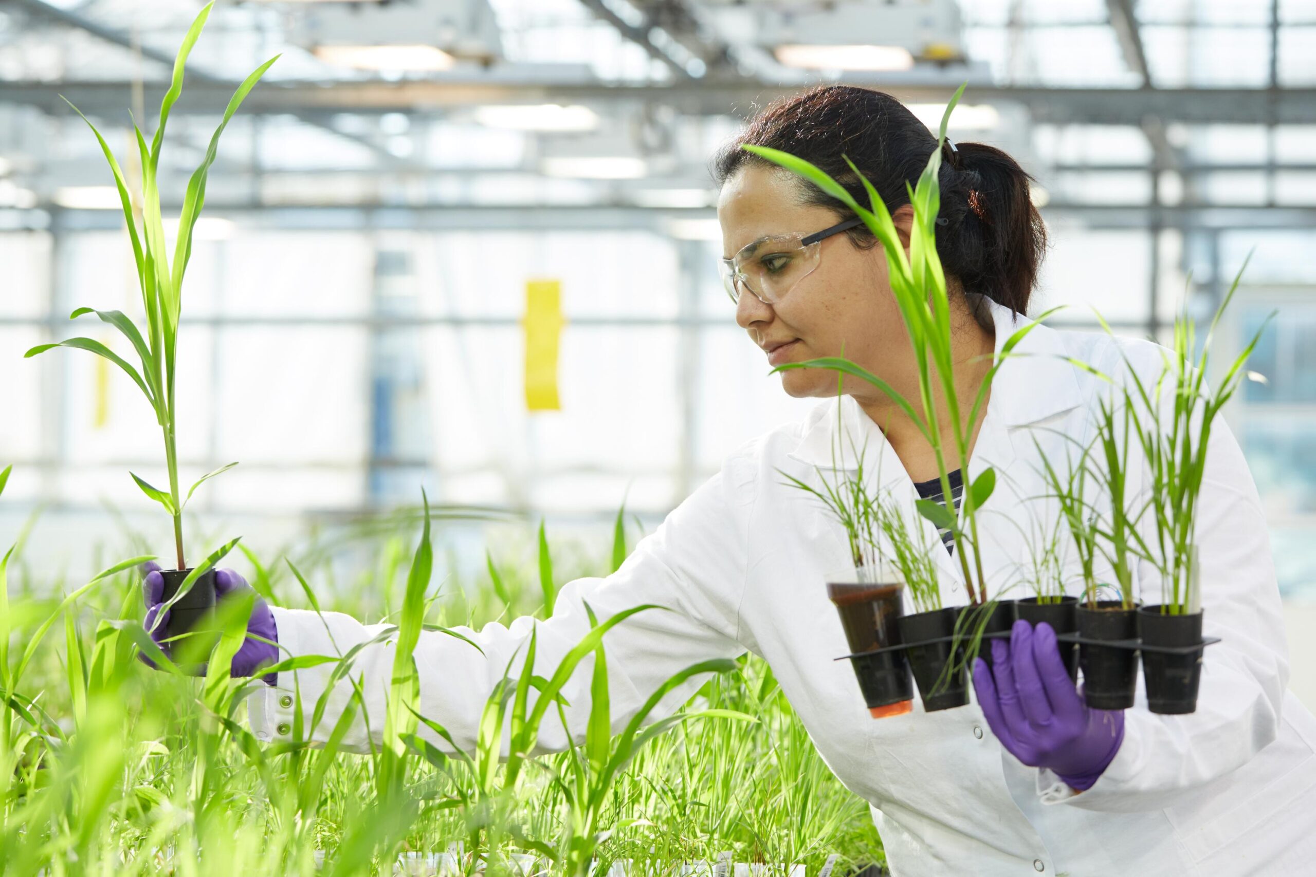 Bayer anuncia 10 grandes innovaciones para la agricultura en los próximos 10 años