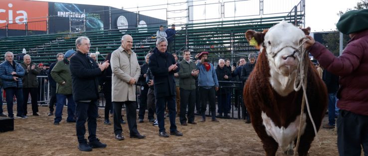 Abrió la Expo Rural de Palermo 2024, capital de la ganadería argentina