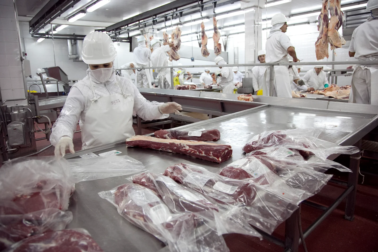 Creció 13% la exportación de carne en el primer semestre: 371.800 toneladas