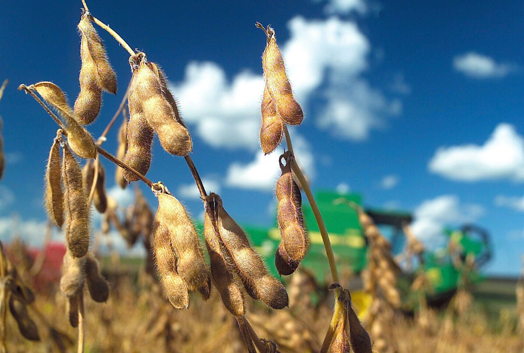 No todas son rosas para la agroindustria argentina con la vuelta de Trump en EE.UU.